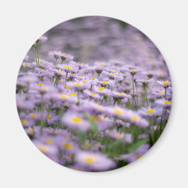 Lila Aster Flowers Magnet