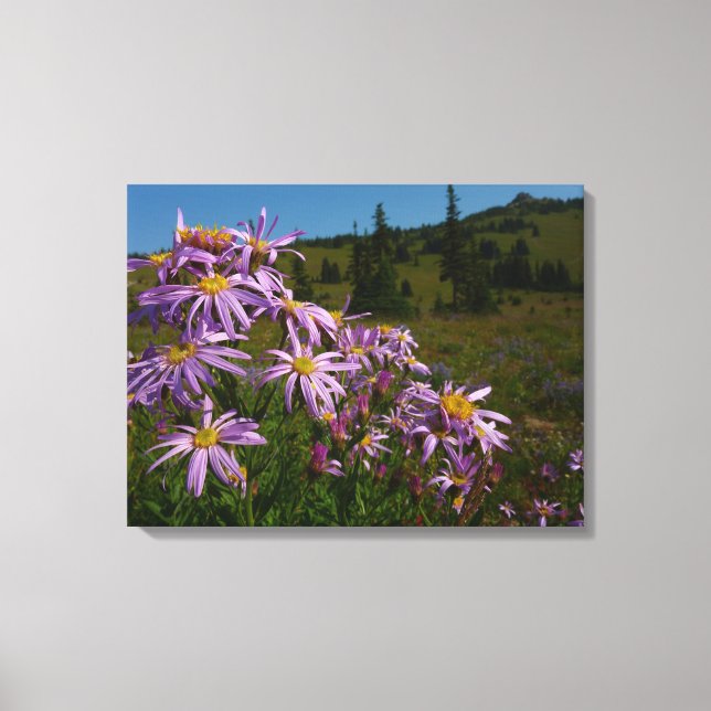 Lila Aster Flowers på berget Rainier Canvastryck (Framsida)