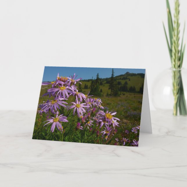 Lila Aster Flowers på berget Rainier Kort (Framsida)