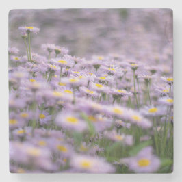 Lila Aster Flowers Stenunderlägg