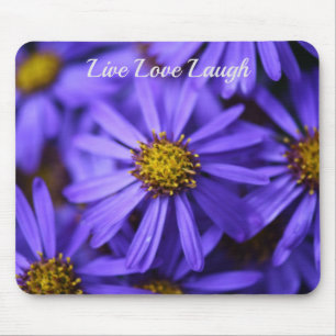 Lila Aster Flowers vid RHS Garden Wisley Musmatta