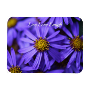 Lila Aster Flowers vid RHS Garden Wisley Thinking Magnet