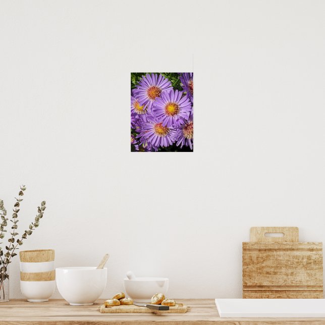 Lila Asterblommor Blommig Poster (Kök)
