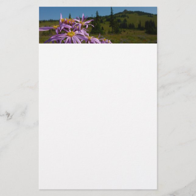 Lila Asterblommor vid Mount Rainier Brevpapper (Framsida)