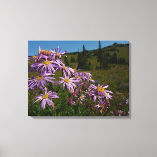 Lila Asterblommor vid Mount Rainier Canvastryck