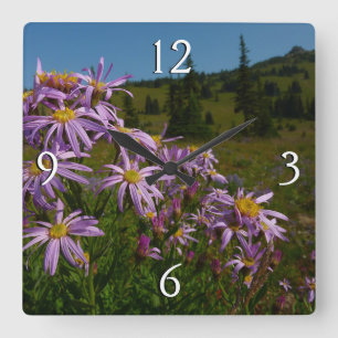 Lila Asterblommor vid Mount Rainier Fyrkantig Klocka