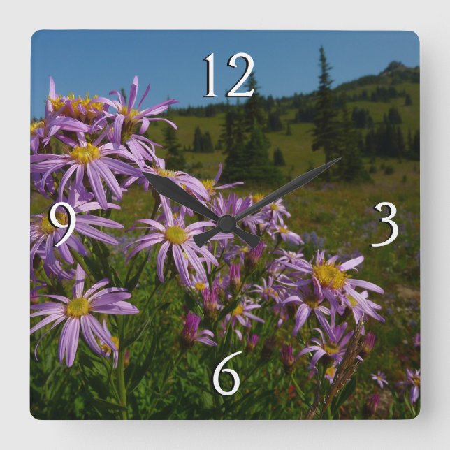 Lila Asterblommor vid Mount Rainier Fyrkantig Klocka (Framsida)
