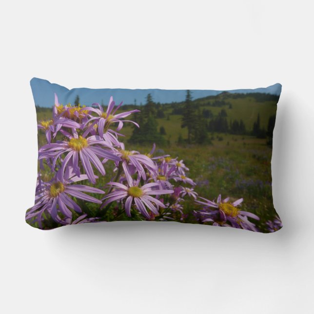 Lila Asterblommor vid Mount Rainier Lumbarkudde (Framsida)