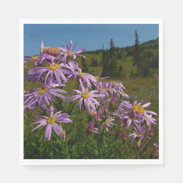Lila Asterblommor vid Mount Rainier Pappersservett (Framsidan)