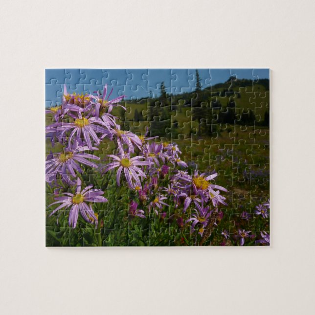 Lila Asterblommor vid Mount Rainier Pussel (Horisontell)