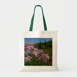 Lila Asterblommor vid Mount Rainier Tygkasse