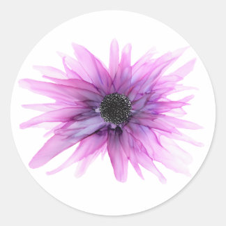 Lila Astor - alla formade klistermärken— Runt Klistermärke