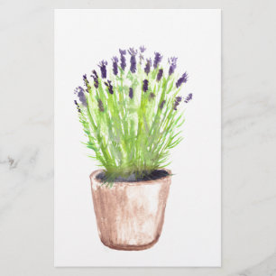 Lila av blommigt av vattenfärg i lavender ört brevpapper