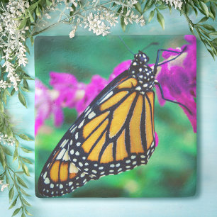 lila av fotoblomma i orangens monarch- stenunderlägg
