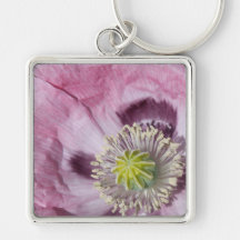 lila av makrofoto-passionsblomma -