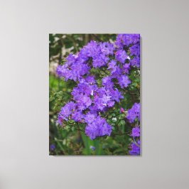 Lila Azalea Kanvastryck
