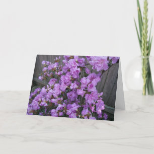 Lila Azalea Merchandise Kort