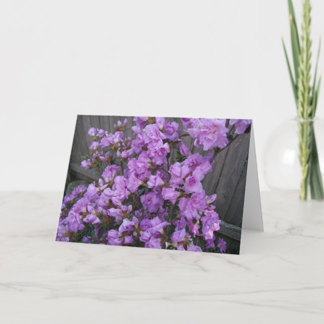 Lila Azalea Merchandise Kort (Framsida)