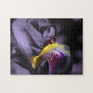 Lila Bearded Iris Flower Petal Pussel