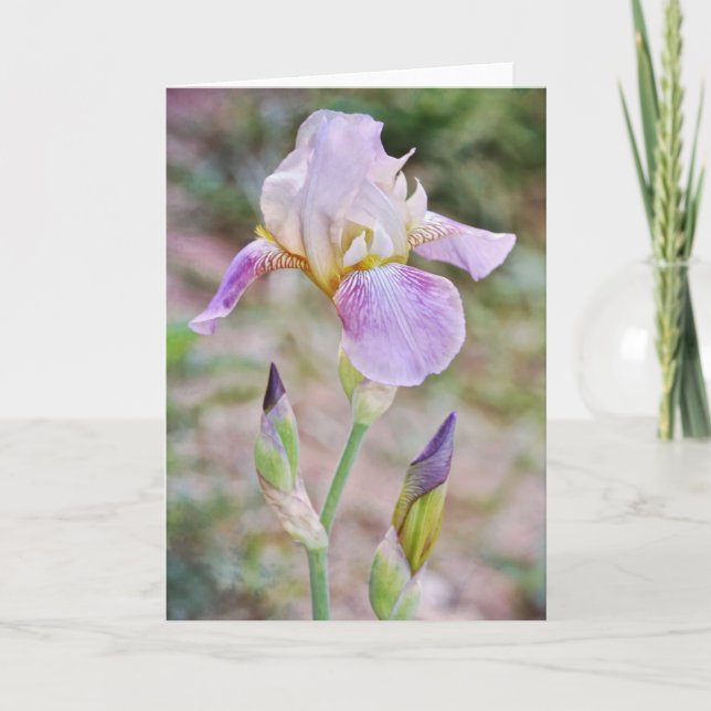 Lila Bearded Iris Flowers Blommigt Note Card Kort (Framsida)