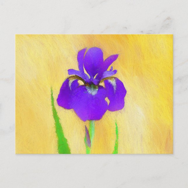 Lila Bearded Iris Painting - Cute Original Hund A Vykort (Framsida)