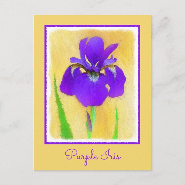 Lila Bearded Iris Painting - Cute Original Hund A Vykort (Framsida)