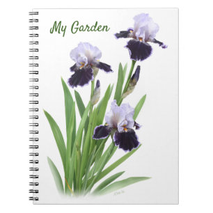 Lila Bearded Iris Trio-Personlig Anteckningsbok