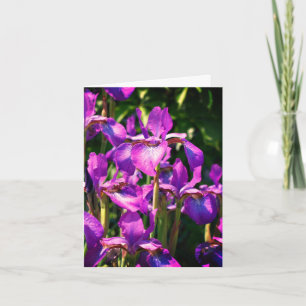 Lila Beared Iris Flowers Anpassade Note Card Tack Kort