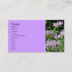 Lila Bee Balm Blomsterfotografi Affärskort Visitkort