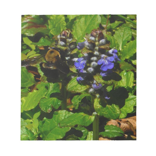 Lila Bee Balm och Humla Anteckningsblock (Framsida)