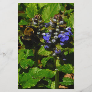 Lila Bee Balm och Humla Brevpapper