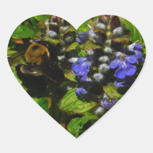 Lila Bee Balm och Humla Hjärtformat Klistermärke