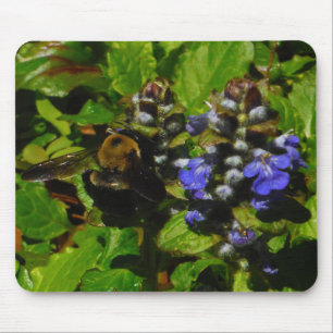 Lila Bee Balm och Humla Musmatta