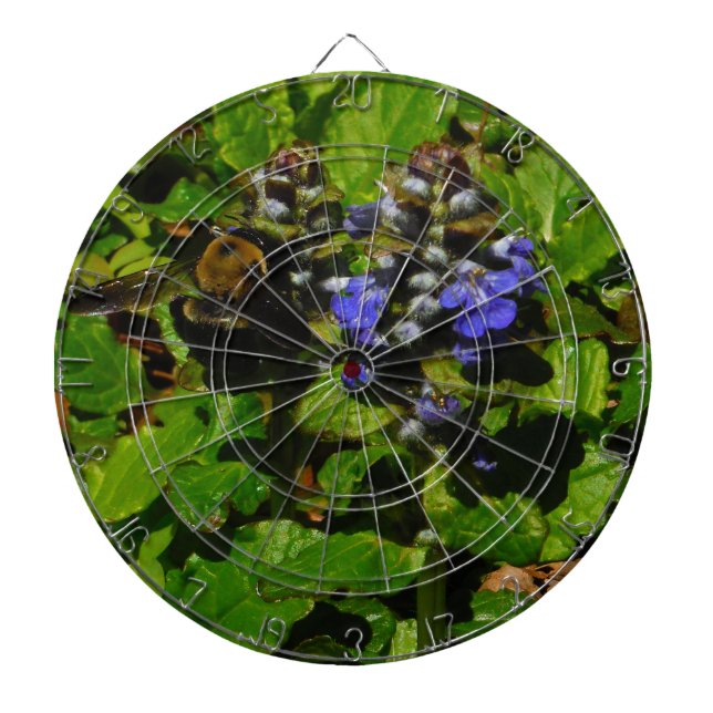 Lila Bee Balm och Humla Piltavla (Framsidan)