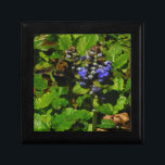 Lila Bee Balm och Humla Smyckeskrin<br><div class="desc">Lila Bee Balm Flower Blommar and gult and black Humla Photo by Sandy Closs taget vid Sjö Arrowhad lila,  ’bi balm’,  blommor,  blommor,  blommigt,  vår,  körsbär,  trädgård,  bröllop,  bröllop, , .</div>
