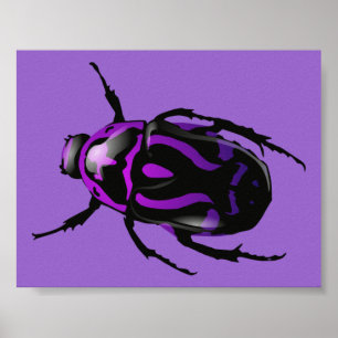Lila Beetle Poster