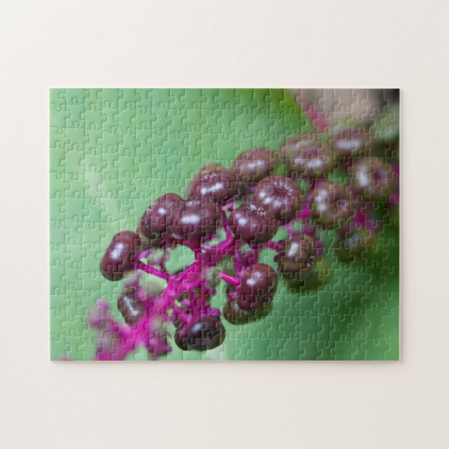 Lila Berries Pussel (Horisontell)