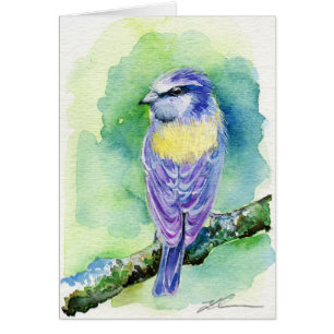 Lila Bird OBS Kort