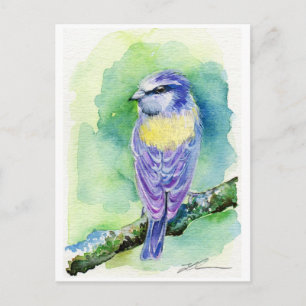 Lila Bird Vykort