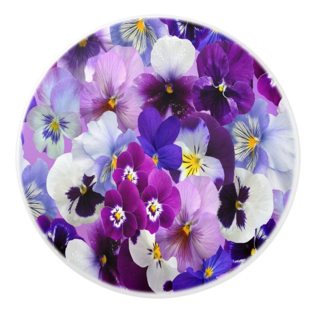 Lila Blå Vita Blommiga Violblommor Knopp (Framsidan)