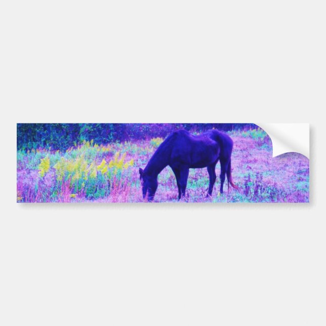 Lila Black Horse i Rainbow fält Bildekal (Framsidan)