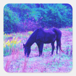 Lila Black Horse i Rainbow fält Fyrkantigt Klistermärke