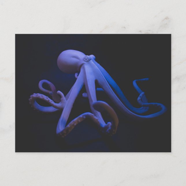 Lila Bläckfisk Vykort (Framsida)