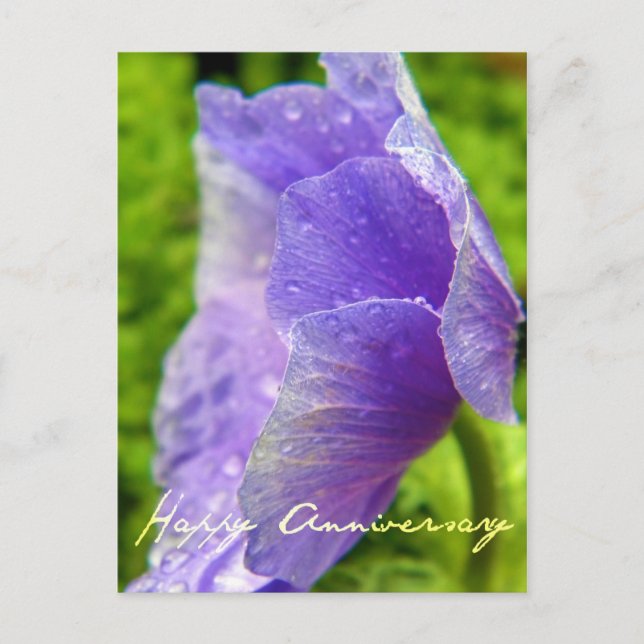Lila Blomårsdag Vykort (Framsida)