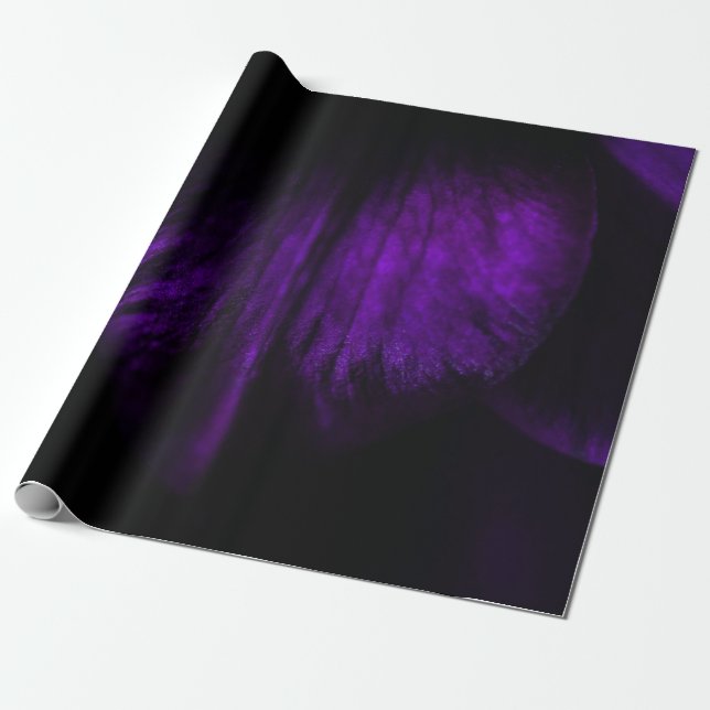 Lila blomkål presentpapper (Utrullad)
