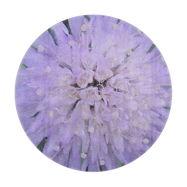 Lila blomma (Framsidan)
