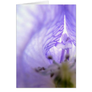 Lila blomma 1 hälsningskort
