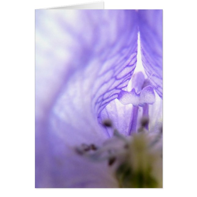 Lila blomma 1 hälsningskort (Framsidan)