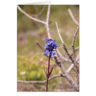 lila blomma hälsningskort