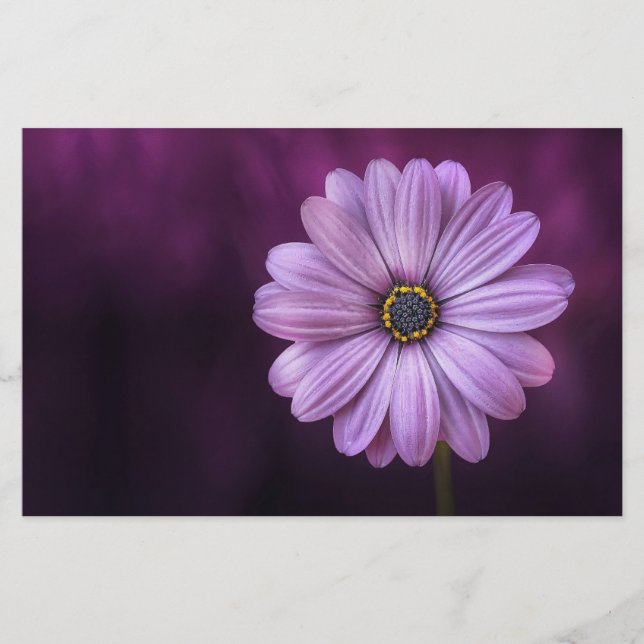 Lila blomma i Bloom Brevpapper (Framsida)